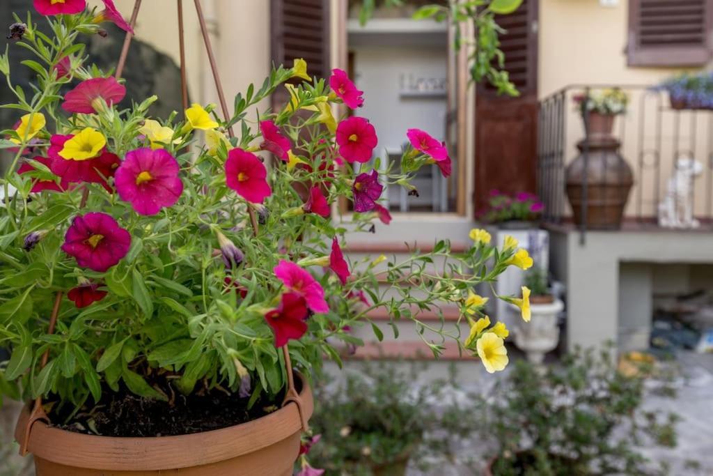 Loft Ortensia Garden Wifi Air Conditioning Firenze Eksteriør bilde